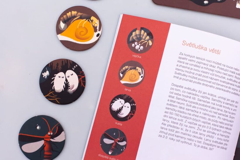 pipasik_nocni-zivot_4