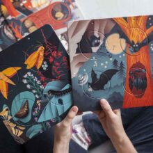 pipasik_nocni zivot_9ww