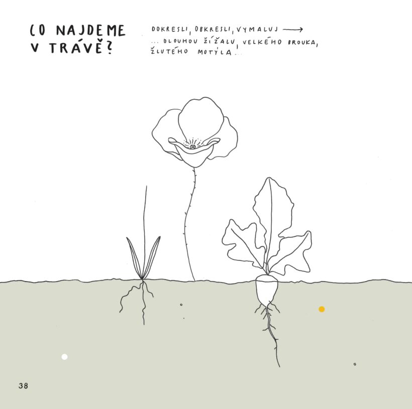21x21_CMAROPIS__40