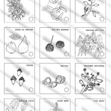 PDF ke stažení, pipasik