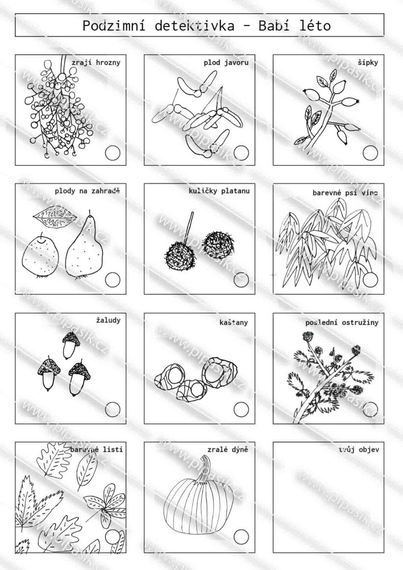 PDF ke stažení, pipasik