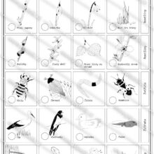 PDF ke stažení, pipasik