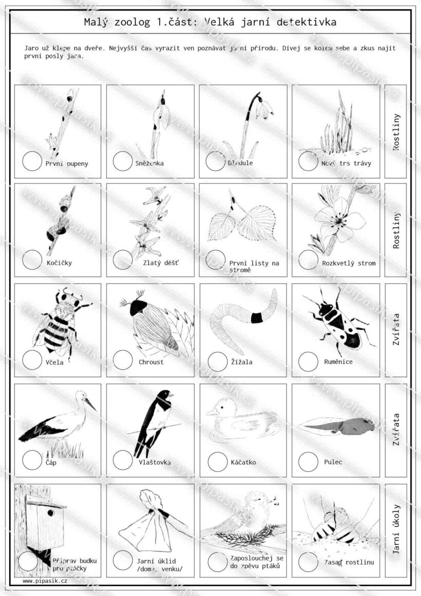 PDF ke stažení, pipasik