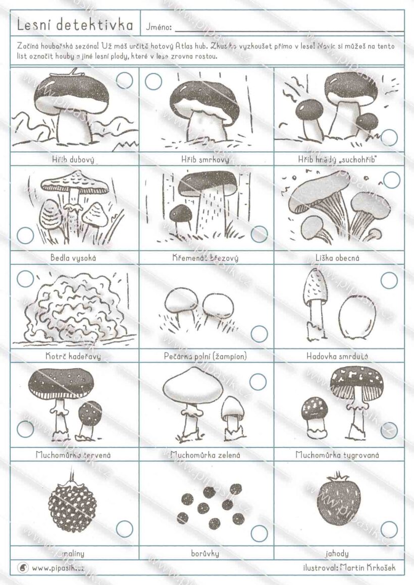 PDF ke stažení, pipasik