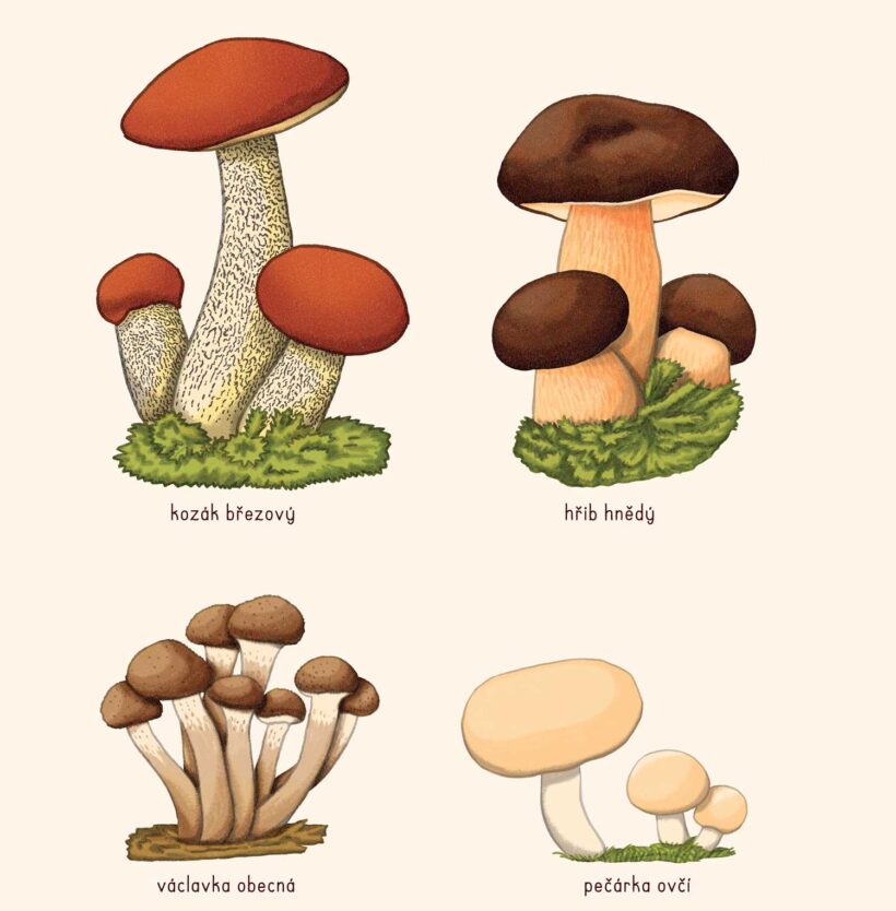 didaktícké platáty, školní plakáty