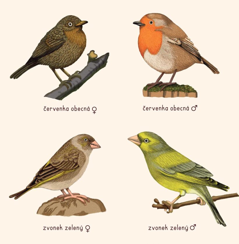 didaktícké platáty, školní plakáty