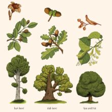 didaktícké platáty, školní plakáty