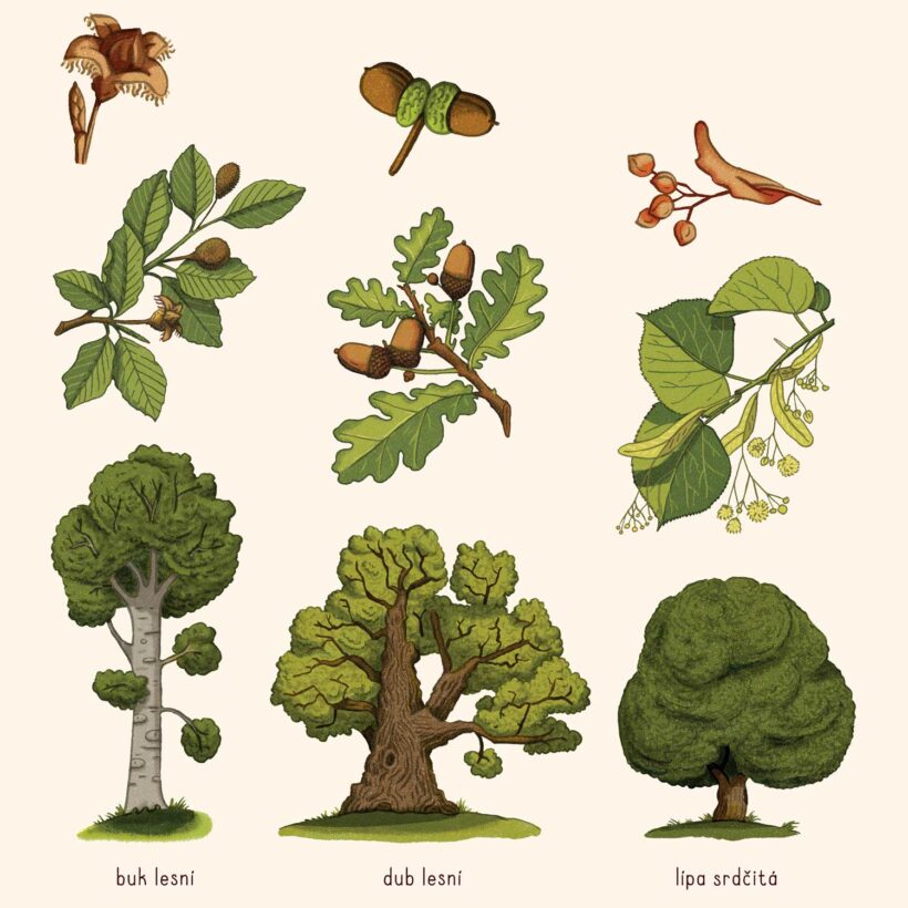 didaktícké platáty, školní plakáty