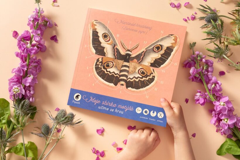 MOJE SBIRKA MOTYLU 02