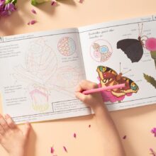 moje sbirka motylu 03