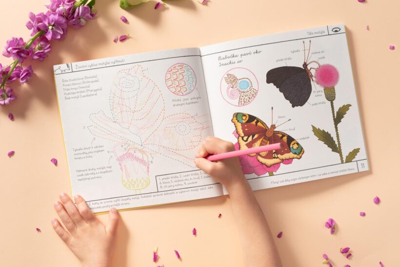 moje sbirka motylu 03