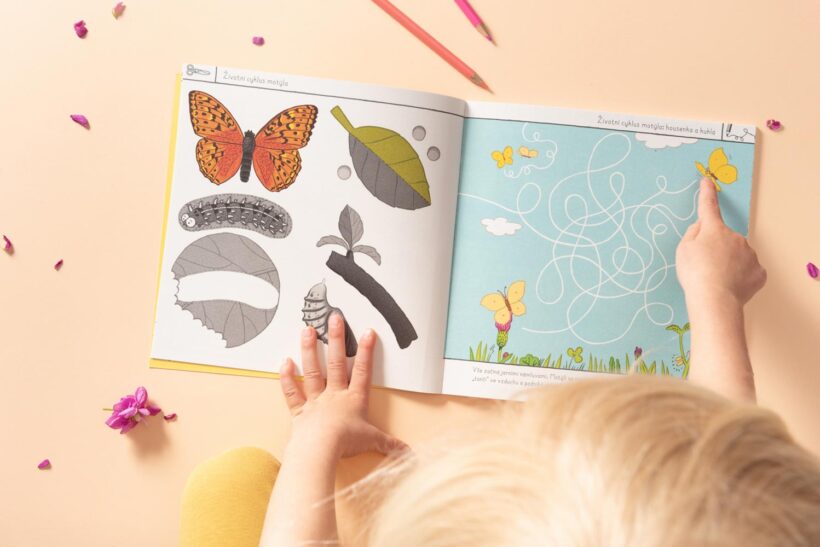 moje sbirka motylu 07