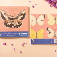 moje sbirka motylu 08