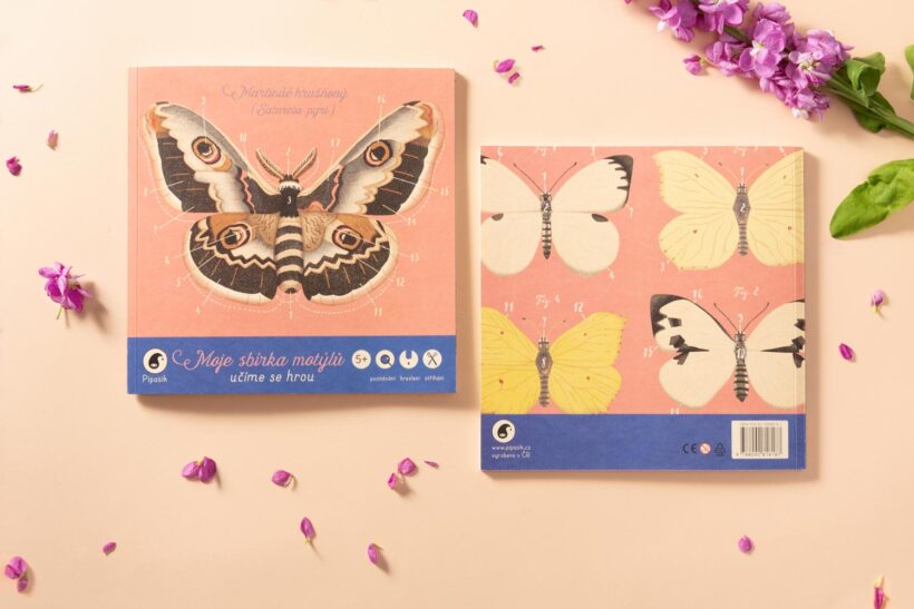 moje sbirka motylu 08